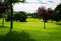 Rossmore Golf Club (20 of 79)